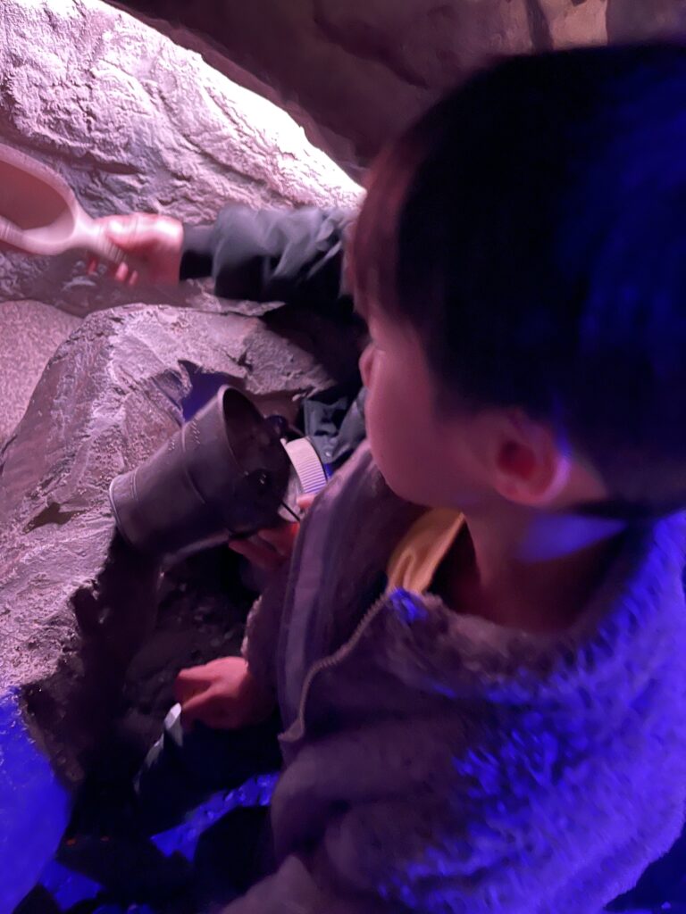 キャンプアンドキャビンズ山中湖のクリスタルハンターで石を探している
