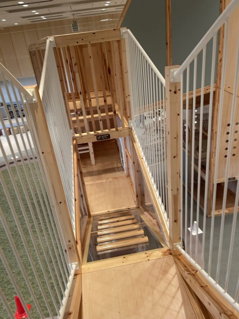 グランドメルキュール八ヶ岳（Grand Mercure Yatsugatake）杜の8 キッズスペース　アリの巣タワー　アスレチック