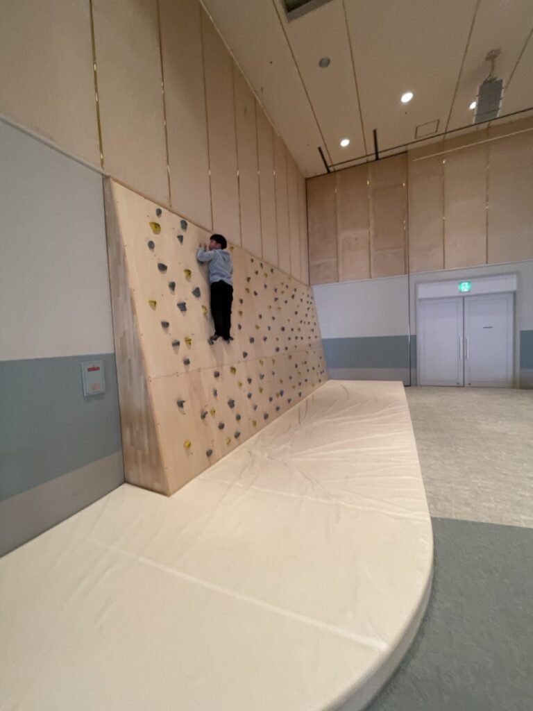 グランドメルキュール八ヶ岳（Grand Mercure Yatsugatake）キ杜の8 キッズスペース　ボルダリング