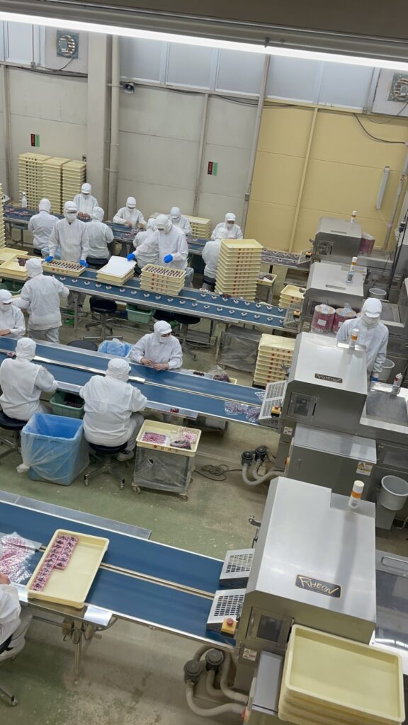 信玄餅工場見学