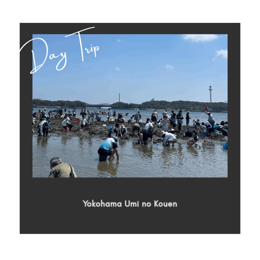 海の公園 横浜 潮干狩り マテ貝 海水浴 子連れ レジャー おでかけ あさり シーパラダイス