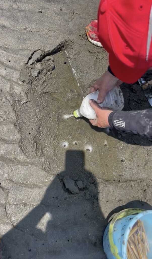 海の公園 横浜 潮干狩り マテ貝 海水浴 子連れ レジャー おでかけ あさり シーパラダイス