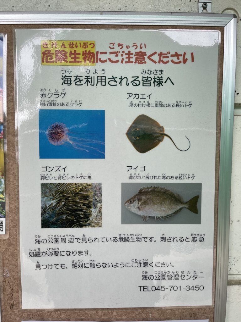 横浜 海の公園 潮干狩り テント 子連れ 遊び場 マテ貝 アサリ 売店