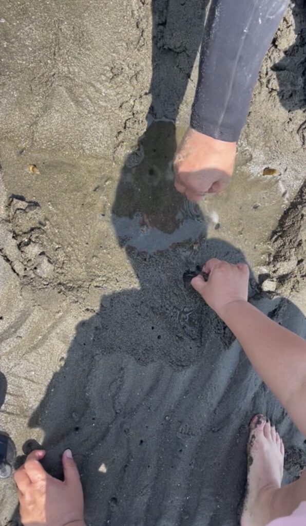 海の公園 横浜 潮干狩り マテ貝 海水浴 子連れ レジャー おでかけ あさり シーパラダイス