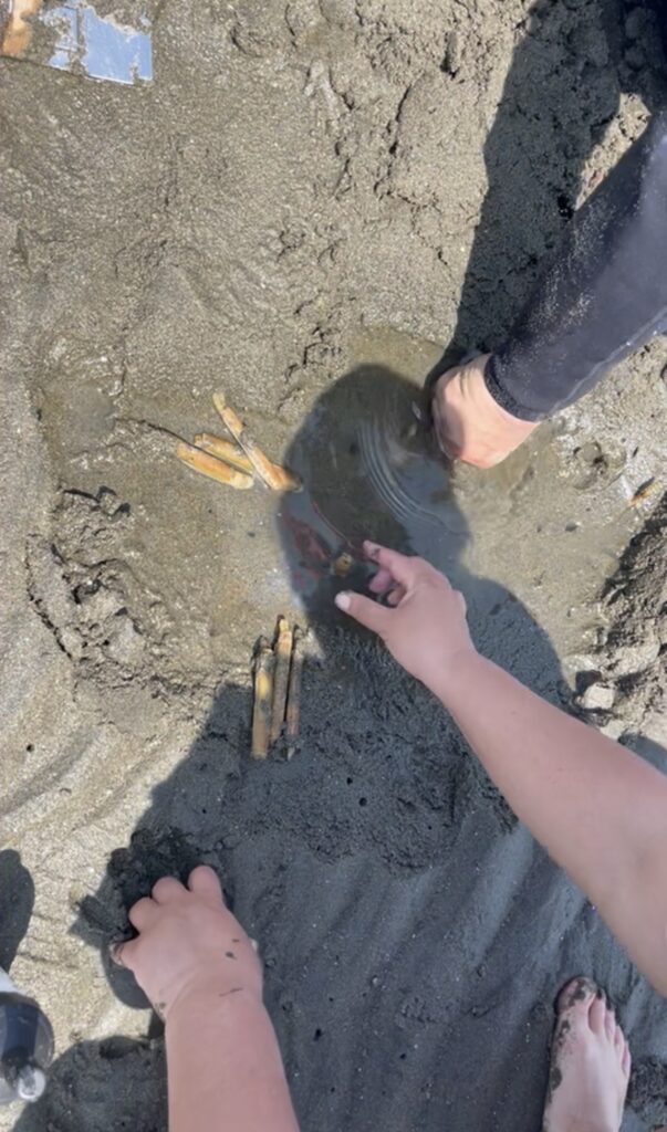 海の公園 横浜 潮干狩り マテ貝 海水浴 子連れ レジャー おでかけ あさり シーパラダイス